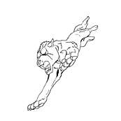 coloriage beyblade ginga